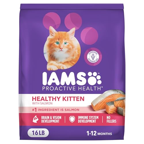 Image of IAMS Proactive Health Healthy Kitten Dry Cat Food Salmon Recipe, 16 lb. Bag