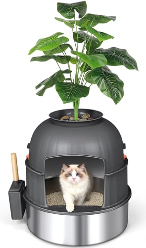 Rated 4.1 out of 5 stars from 8 reviews