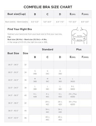 Image of Wireless Bra with Support, Seamless Bra for Women, Mesh Elegance Shaping Bra with Contrast Colored Straps
