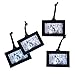 Maypes Set of 4 Extra Hanging Frames for Family Tree Size: 2