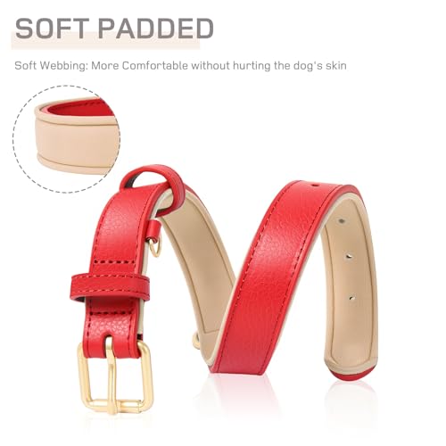 HEELE Hundehalsband, Halsband Leder mit gepolstert und echtes Leder, Verstellbar für Welpen Kleine Mittel Grobe Hunde, Neu-Rot, S