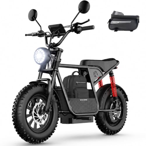 WINDHORSE D1 Electric Scooter with Seat