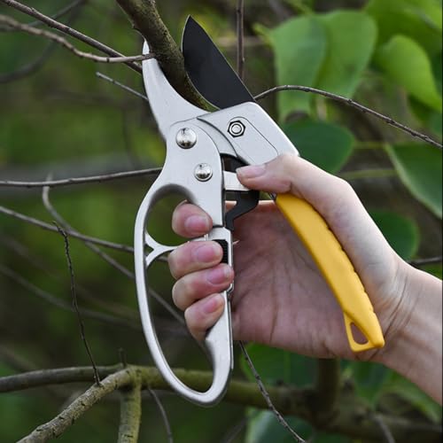 Tijeras de podar profesionales de aleación de titanio 8.5 pulgadas miniatura 3