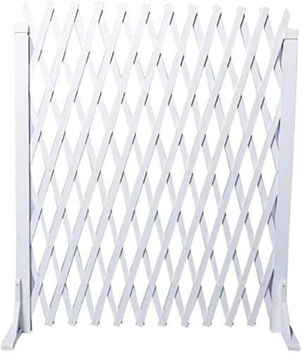 ؐ LktFX  K[h[ K[f p[e[V  NC~Ot[ vgP[W vgX^h (TCY:160cmx80cm) (TCY:160cmx50cm) (160cmx90cm) Beauty Comes