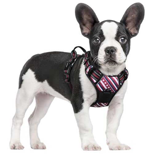 Image of rabbitgoo Dog Harness No Pull with 2 Leash Clips, Adjustable Soft Padded, Reflective Oxford No Choke Pet Vest with Easy Control Handle for Large Dogs, Red Stripe, S