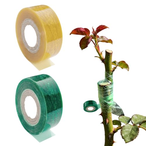 FHRYNA 2 Rollen Veredelungsband, Selbstklebend & Dehnbar 2 cm, Pfropfband für Obstbäume & Pflanzen, Ideal für Hobbygärtner & Profis, Grün & Gelb