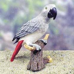 Conversation Concepts African Grey Parrot Figurine