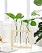 Mkono Wall Hanging Plant Propagation Glass Planter Station 3 Tubes with Wood Stand Flower Vase Desktop Terrarium for Propagating Hydroponic Cutting Plants, Home Office Decoration, Beige