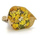 Son flores naturales secadas, teñidas o estabilizadas