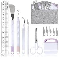 OSDUE Entgitterwerkzeug Plotter Zubehör, 13 Stück Vinyl Jäten Werkzeuge, Edelstahl DIY Bastelwerkzeug Set für Sammelalbum, Silhouette, HTV, Cameos, Beschriftung