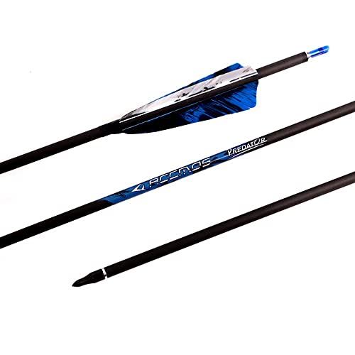 300-Spine Arrow 32-Inch Arrow Target Practice Arrow Hunting Arrow Carbon Arrows Compound Bow Recurve Bow Adult Youth Archery Indoor Outdoor Shooting Bullet Field Tip 18Pc Style2 #TOP5