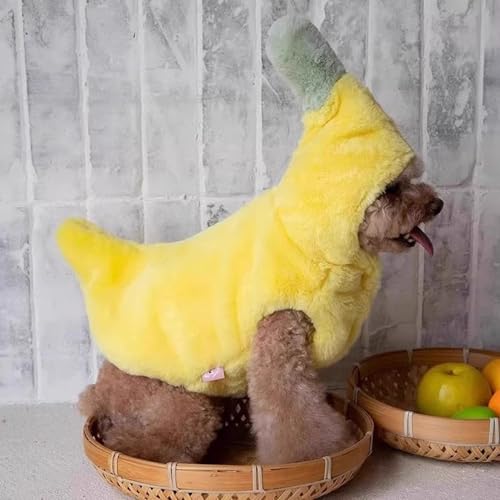 Abrigo de invierno para disfraz de gato y perros pequeños 4