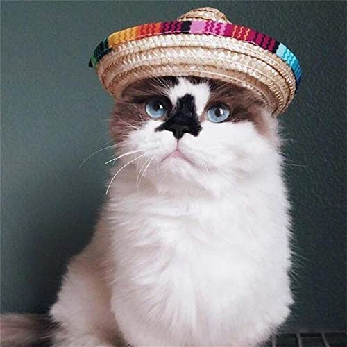 Ellylian Dog Sombrero Hat, Mini Straw Sombrero Hats Hats Sombrero Party Hats For Small Pets/Puppy/Cat #TOP4