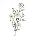 artplants.de Kunstblume Magnolienzweig LILO, 4 Blüten, Knospen, Creme - weiß, 75cm - Seidenblumen Magnolie - Kunstzweig CREME günstig Kaufen-artplants.de Kunstblume Magnolienzweig LILO, 4 Blüten, Knospen, Creme - weiß, 75cm - Seidenblumen Magnolie - Kunstzweig