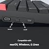 Keychron K4 96% Layout QMK Wireless and Wired Options Mechanical Keyboard Super Banana Switch, RGB Backlight with Shine-Through Double-Shot PBT Keycaps for Mac Windows - Version 3