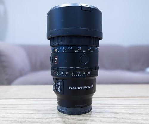 Sony FE 100mm F2.8 Macro GM OSS SEL100M28GM