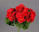 Seidenblumen Roß