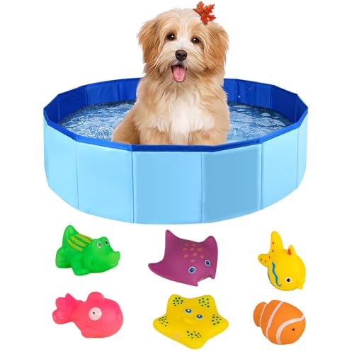 Piscina per Cani Piccoli, Vasca da Bagno per Cani, Piscina...