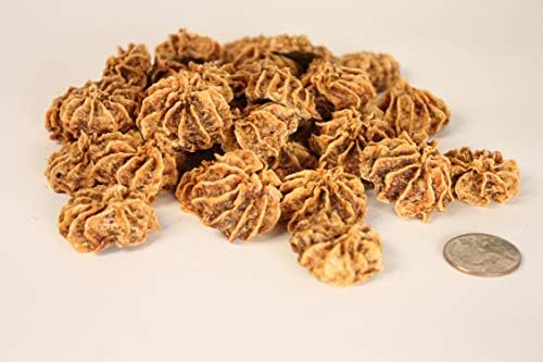 Preen Pets Beef & Apple Cookies (1lb)