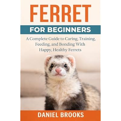 Ferret for Beginners