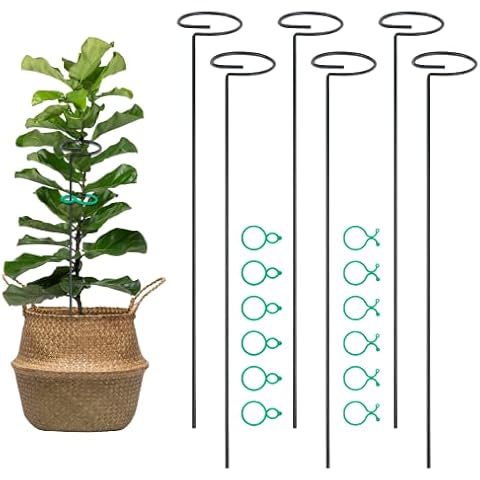 6 Pack 40cm Plant Stakes, DIYJEP Plant Support Stakes with 12 Pcs Plant Clips, Garden Single Stem Flower Plant Cage Support Ring, plant sticks support for Outdoor Plant Orchid Rose Lily (16 inch) Cover