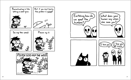 Image of Oddball