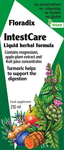 INTESTCARE JARABE 250 ML
