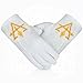Masonic Cryptic Masons Crown Cap Case – 9”x9” Purple Embroidered (R&SM Emblem) Freemason Hat Box Foldable Design with Shoulder Strap & Cotton Gloves – Lightweight & Travel-Friendly - Image 4