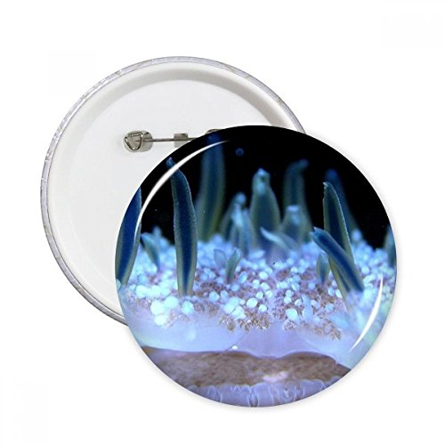 Badge méduse océan bleu idée cadeau science pour anniversaire et amateurs de biologie marine