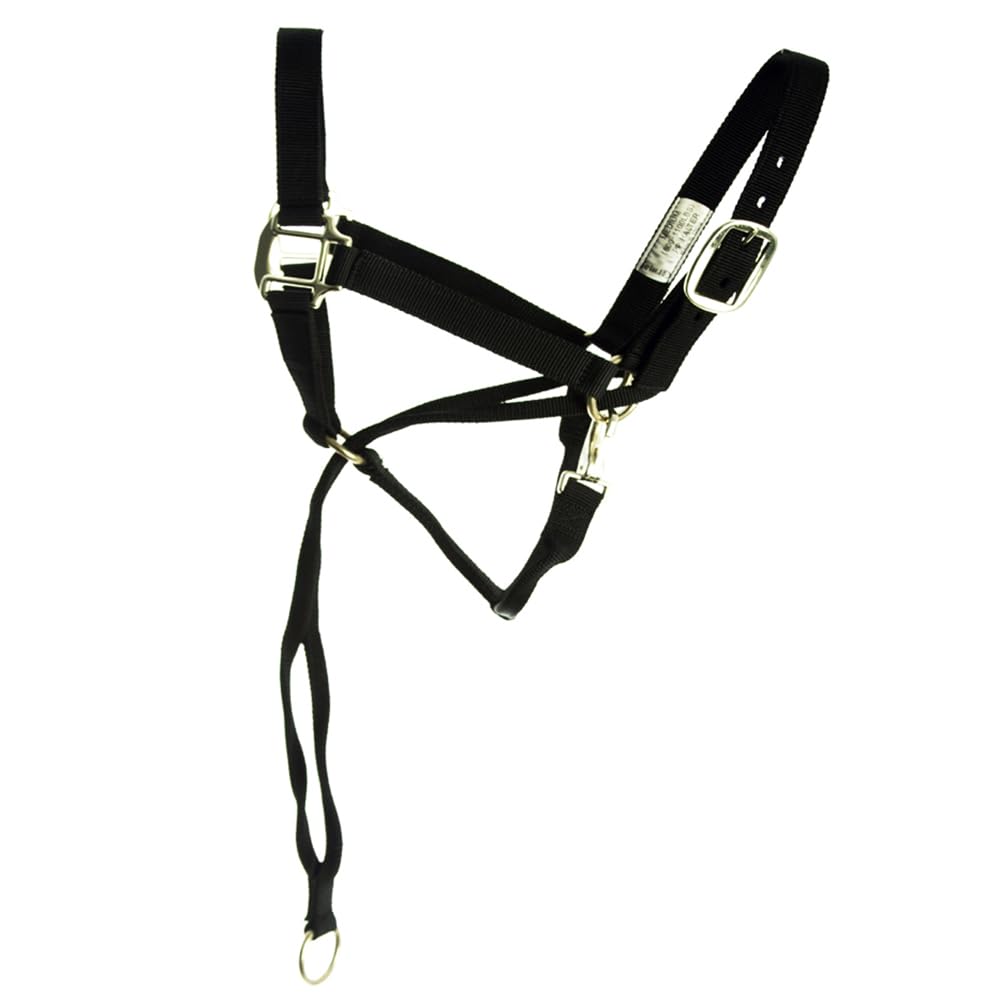 Basic Pull Back Training Halter