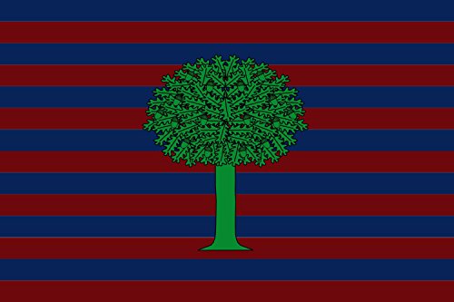 Drapeau XL Floresta Boyacá grand format pavillon extérieur Boyacá