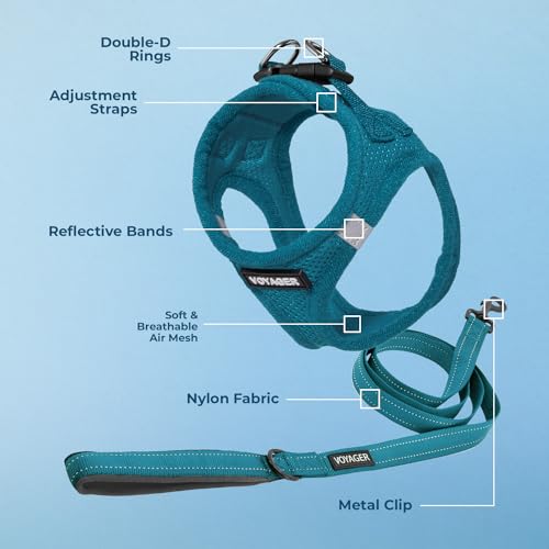 Best Pet Supplies Voyager Step-in Air All Weather Mesh Harness and Reflective Dog 5ft Leash Combo with Neoprene Handle, for Small, Medium and Large Breed Puppies - Set (Turquoise), Large - Thumbnail 3