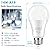 LED Light Bulbs 100 Watt Equivalent 1600 Lumens, A19 14W Super Bright Daylight White 5000K LED Bulbs, Standard E26 Medium Screw Light Bulbs Non-Dimmable, 25000+Hrs Lifespan, No-Flicker, 12-Pack