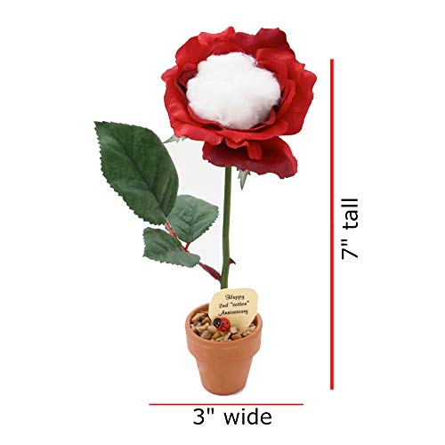Justpaperroses 2Nd Year Wedding Anniversary 7 Inch Potted Cotton Rose Flower #TOP2