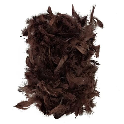 Netuno 150 Stück Braun Deko Federn 10g Flaumfedern Federn Schmuckfedern Vogelfedern Bastelfedern Natur für DIY Basteln Dekoration Ostern Weihnachten Dekofigur