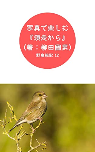 写真で楽しむ『須走から』(著:柳田國男): 野鳥雑記 12 鳥シリーズ