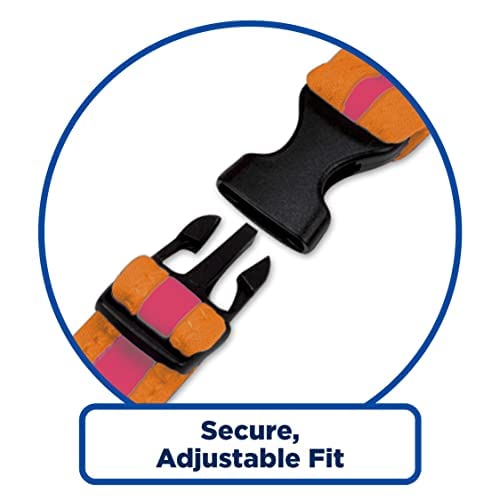 Swimschool Tot Swim Training Vest For Toddlers, Colors May Vary #TOP3