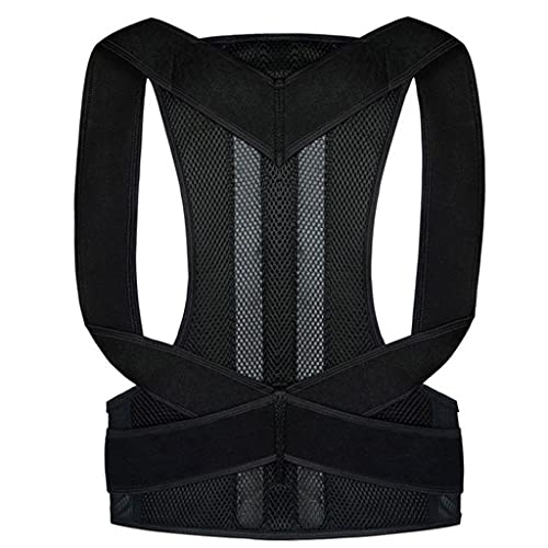 p - AAw㕔̒ɂ݂ɘa钲߉\ȃobNu[X - ŃT|[gxg Xg[gi[ EGXgXgbv jp (TCY : XS) (L) (XXXXX) charitable