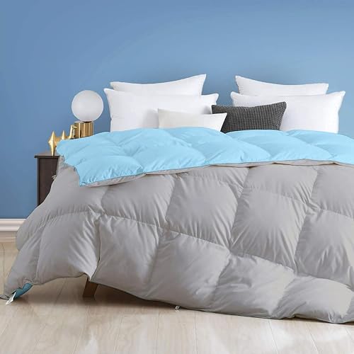 Image of Day Care - 500 GSM Hotel Quality-Down Alternative Reversible Comforter (90 inch x 100 inch Inches /228cm x 228cm) - Comforter Double Bed|Sky /Silver