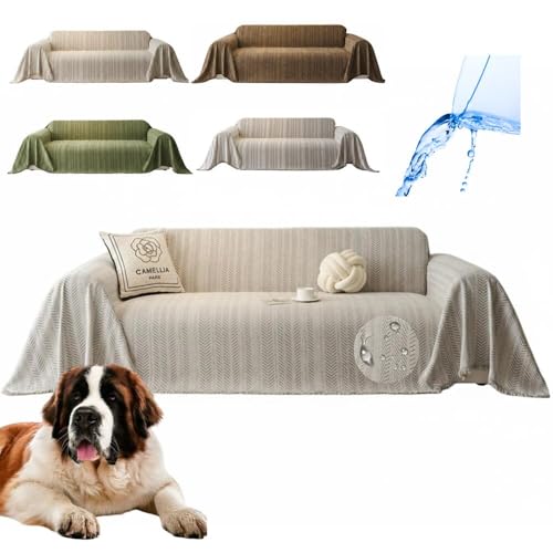 Lifetips ZgEo[i[hiSaint Bernardj \t@[Jo[ k  􂦂 h }`Jo[ 2l| 3l| It IȂ ~ Eh~ LΉ lGʗp iO[j i230180CMj