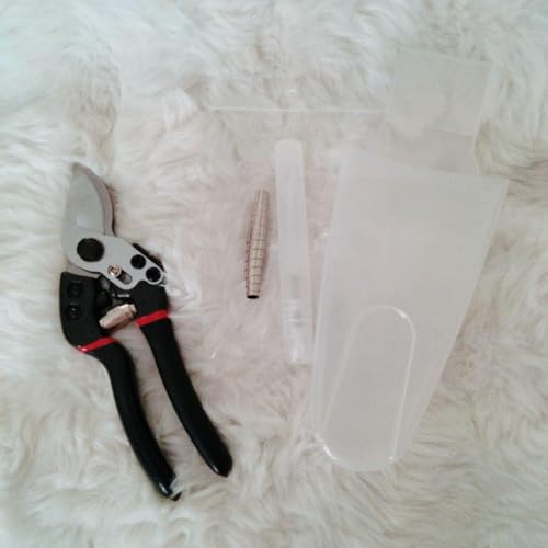 lCi ΂ P[Xt ւolt |pʎ ~ 뉀