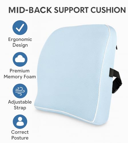 Image of Grin Health Back Support for Office Chair & Car, Memory Foam Orthopedic Back Rest Cushion for Back Pain Relief, Ideal Cushion for Spine Alignment and Posture Correction, Blue