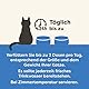 Applaws 100% Natural Thunfischfilet Nassfutter in Brühe für ausgewachsene Katzen - 24 x 70g Dosen