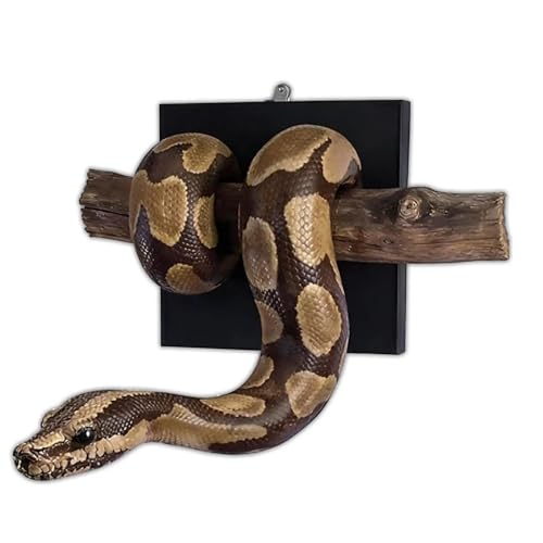 Golden Ball Python Wall Sculpture - Symbol of Strength & Prosperity, Hand-Painted Realistic Snake Wall Art, Resin Snake Walls Decor for Home Bedroom Office, Ideal Gift for Snakes Lovers (type B)
