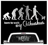 siviwonder Chihuahua Chi Chis Schiwawa Evolution Autoaufkleber Hund Aufkleber Folie Farbe Silber Metallic, Größe 60cm