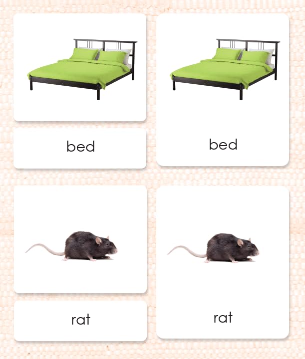 Phonetic Reading Cards Level 1 (5 packets) - Image 6