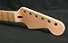 Mighty Mite MM2902 Stratocaster Replacement Neck with Maple Fingerboard