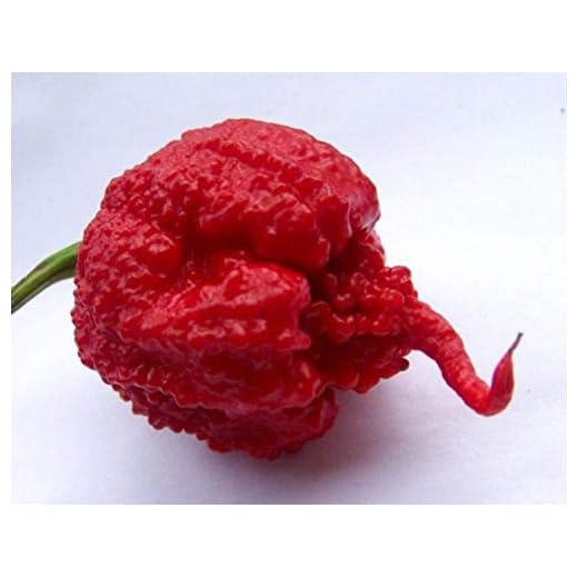 Chili Carolina Reaper 10 st frön Världens starkaste chili!