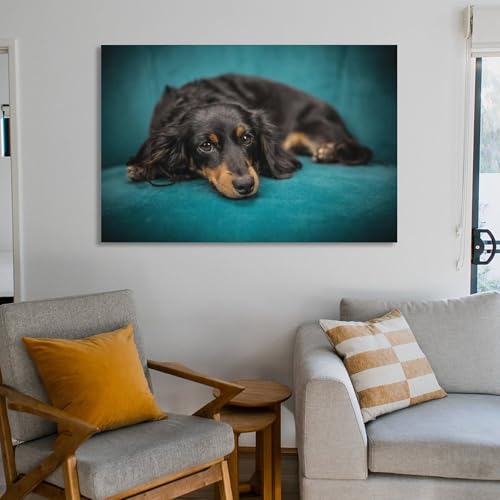 Poster teckel sur toile premium 60 x 90 cm avec impression d'art - 6