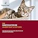 NaturVet Cranberry Relief Plus Echinacea for Cats, 60 ct Soft Chews, Made in The USA with Globally Source Ingredients